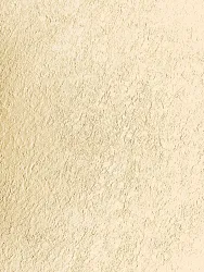 elite-motion-SandBeach