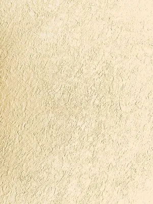 elite-motion-SandBeach