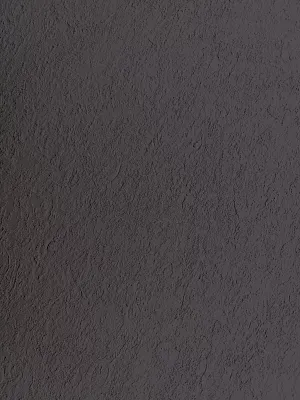 elite-motion-BlackStone