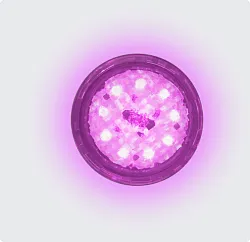Screenshot-2024-07-24-at-10-00-49-Mini-BRiO-screw-in-light
