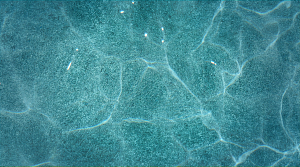 Screenshot-2025-04-02-at-11-27-05-SOLID-Elbepools