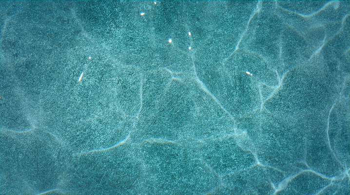 Screenshot-2025-04-02-at-11-27-05-SOLID-Elbepools